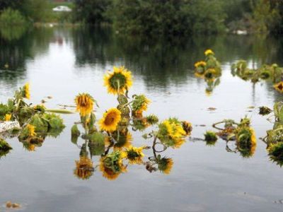 Наводнение. Фото: Facebook Сергея Лунина